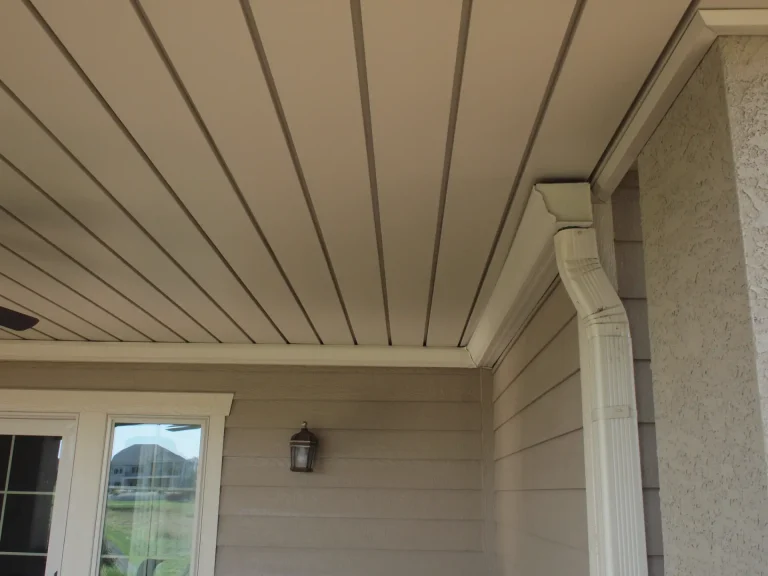 Brokenicky Deck and Ceiling