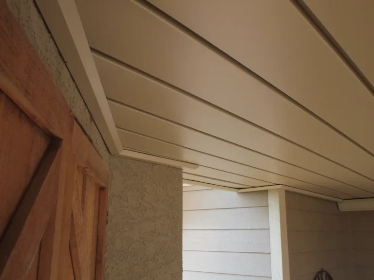 Brokenicky Deck and Ceiling