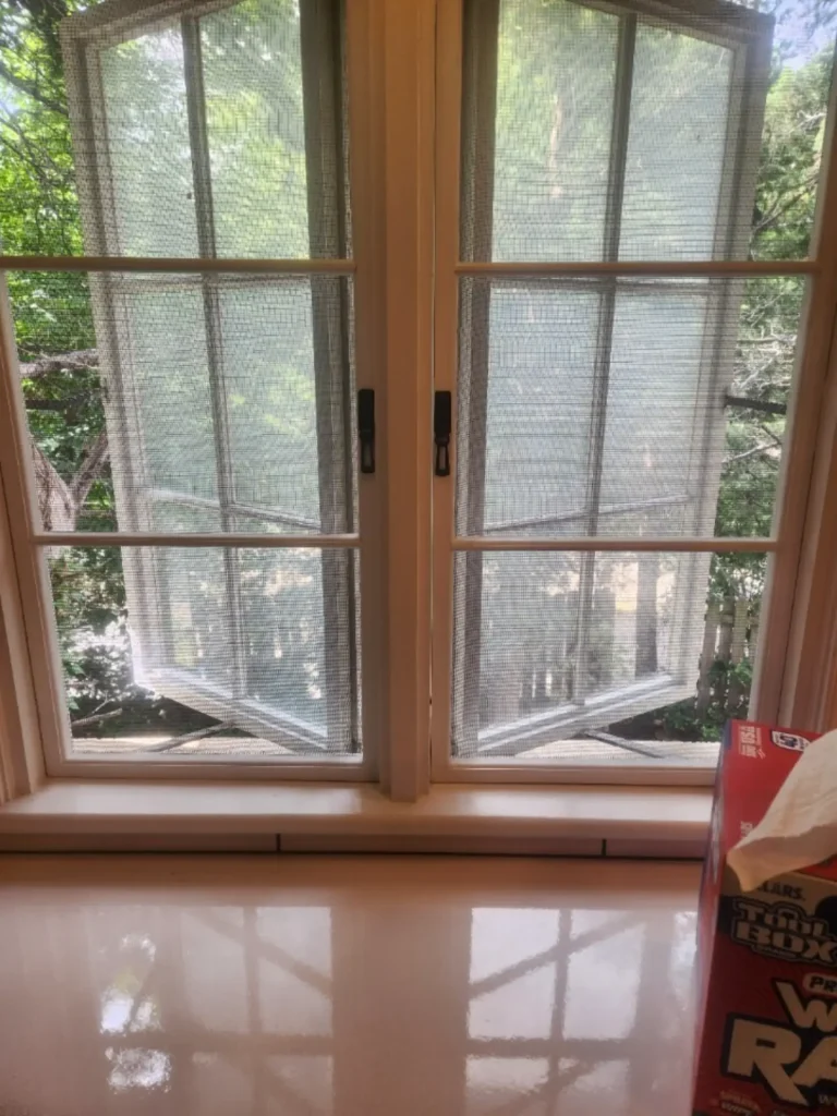 Historic Bathroom Remodel window